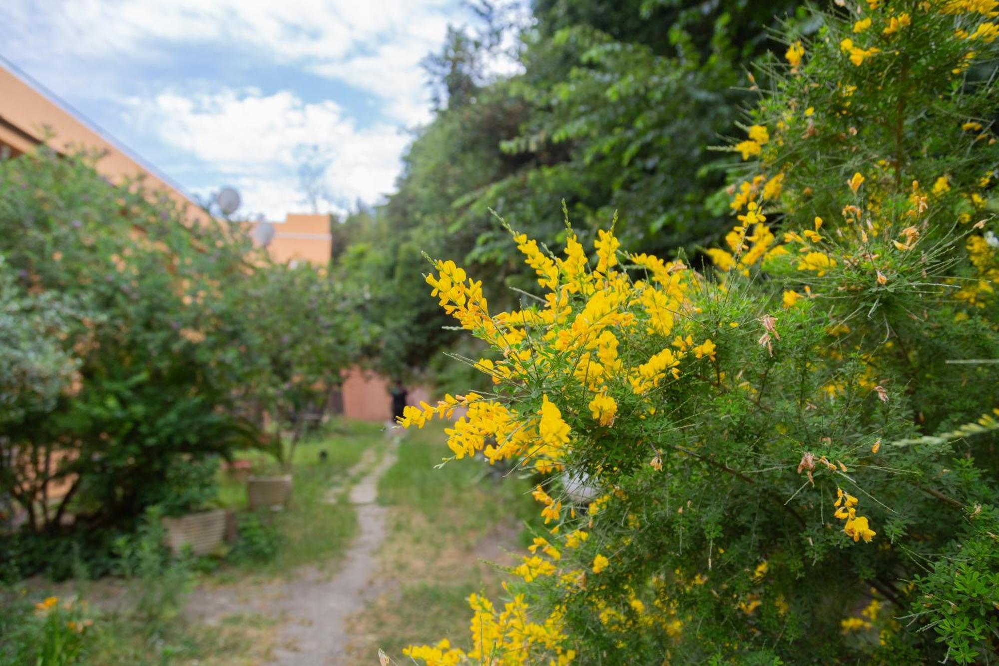 La Casa Di Nonna Peppina A Trastevere Rome Luaran gambar